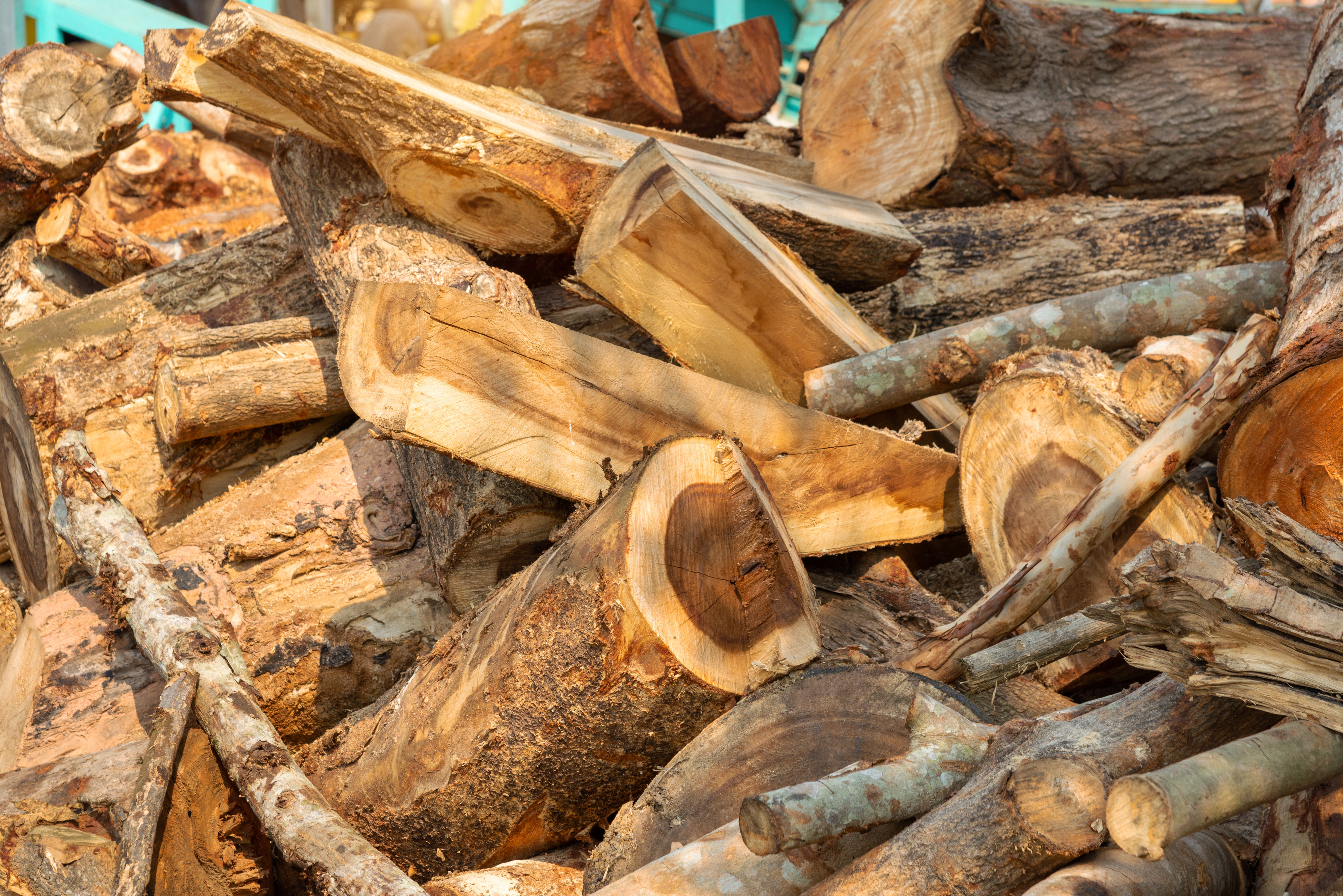 Firewood, Woodpile of freshly chopped pine logs in the forest stacked on top of each other,  Selective focus.