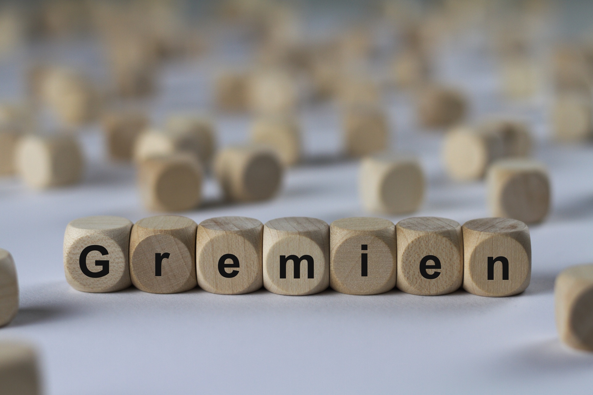 Holzwürfel mit Buchstaben bilden das Wort „Gremien“ auf hellem Hintergrund. Weitere unscharfe Würfel liegen im Hintergrund verteilt.