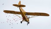 Ein gelben Modellflugzeug ist von unten zu sehen. Darüber grauer Himmel mit einem Hauch Blau. Aus dem Innenraum des Flugzeugs werden rote Bonbons abgeworfen.