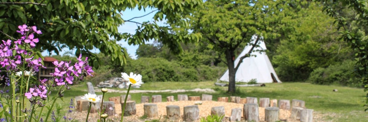 Die Obstwiese des Waldkindergartens. Scharf im Vordergrund bunte Wildblumen. Im Hintergrund unscharf ein weißes Tipi.