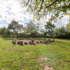 4 Obstwiese W.jpg Es ist eine große Obstwiese zu sehen, die mit Bäumen und Büschen eingegrenzt ist. In der Bildmitte ist ein "Stuhlkreis" aus Baumstumpfen aufgestellt.