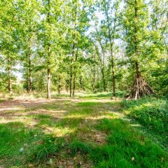 5 Waldplatz W.jpg Der Waldplatz sieht wie eine Waldlichtung aus. Rechts im Bild ist ein Tippi aus Ästen zu sehen.