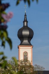 Blick auf die Zwiebel der kath. Kirche St. Maria Magdalena Gernsheim Im Vordergrund unscharfe Blätter und Blüten dahinter sieht man scharf das Schieferdach der katholischen Pfarrkirche Sankt Maria Magdalena Gernsheim welches die Form einer Zwiebel hat die Kirche ist weiß mit sandsteinfarbenen Rändern