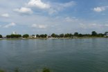 Blick von der rheinland-pfälzischen Rheinseite über den Rhein nach Gernsheim. Im Hintergrund der baumbestandene Uferbereich mit der Fähre Helene und mehreren Gebäuden.