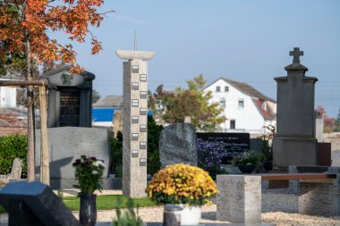 Ein Urnenbaum mit Stele auf dem Gernsheimer Friedhof.