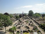 Ein Foto von der Friedhfosmauer aus aufgenommen zeigt zahlreiche Gräber mit unterschiedlichen Gradsteinen auf dem Gernsheimer Friedhof