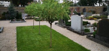 Eine Grünflächengrabstätte auf dem Gernsheimer Friedhof. Mititg sind drei Bäume in einer Linie gesetzt. Im vorderen Teil der Fläche sind zwei Platten mit Inschriften eingearbeitet. Rechts im Bild sieht man mehrere Grabsteine.