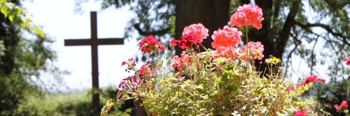 Blumenschale mit rosa Blumen in Maria Einsiedel. Es ist Frühling. Im Hintergrund von Ästen eingerahmt das Gedenkkreuz.