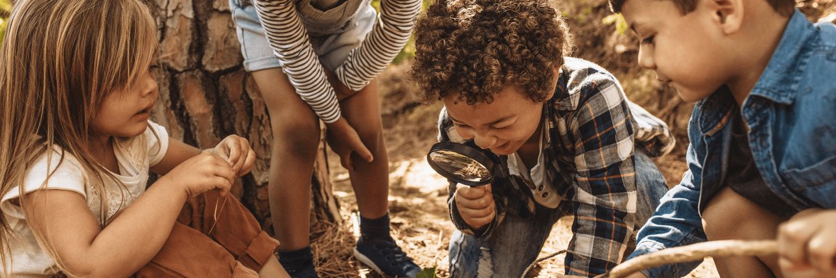 Vier Kinder beugen sich über einen Zweig mit grünen Blättern der auf einem mit braunen Tannennadeln übersäten Boden liegt. Ein Kind hält eine Lupe in der Hand. Im Hintergrund ist der Stamm eines Nadelbaums zu sehen.