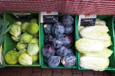 Das Bild zeigt drei grüne Marktkisten aus Kunststoff in denen jeweils grüne und rote Kohlköpfe sowie Chinakohl liegen