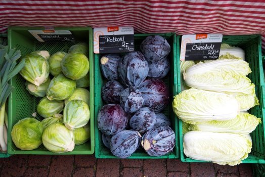 Das Bild zeigt drei grüne Marktkisten aus Kunststoff, in denen jeweils grüne und rote Kohlköpfe sowie Chinakohl liegen.