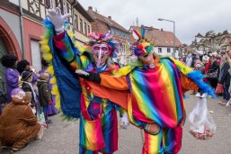 Zwei Personen in regenbogenfarbenen Kostümen und Vogelmaske. Im Hintergrund Zuschauer des Umzugs der Gernsheimer Straßenfastnacht.