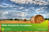 In weiß auf grünem Hintergrund der Text Mehr Grün(e) für Gernsheim und rechts der Link gruene-gernsheim.de. Dahinter ein Bild mit Heuballen auf einer abgemähten Wiese.