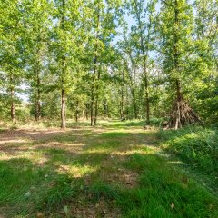 Waldplatz