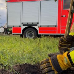 Eine behandschuhte Hand klopft die Erde um einen frisch gesetzten Apfelbaum fest. Im Hintergrund ein Feuerwehrfahrzeug.