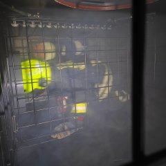 Ein Feuerwehrangehöriger in Schutzkleidung mit gelbem Helm kriecht durch einen engen, gitterartigen Parcours bei einer Atemschutz‑Streckendurchgangs‑Übung.