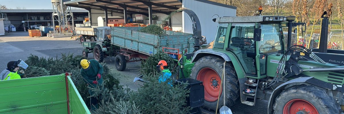 Mehrere Personen in Schutzkleidung verladen ausgediente Weihnachtsbäume auf einem Betriebshof. Im Vordergrund liegen Tannenbäume, die von Arbeitern sortiert werden. Rechts steht ein grüner Traktor mit Anhänger, links ein weiterer Anhänger. Im Hintergrund sind eine offene Halle, landwirtschaftliche Geräte und ein Silo zu sehen, bei klarem Himmel und winterlicher Umgebung.