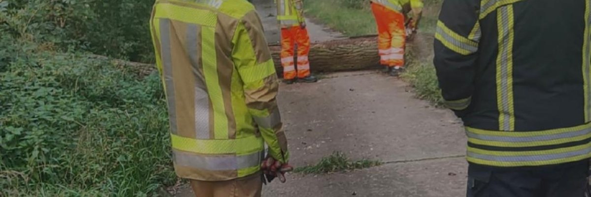 Umgestürzter Baum im Wald blockiert einen Wanderweg und wird mittels Kettensäge entfernt.