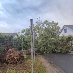 Umgestürzter Baum, der die Straße blockiert.
