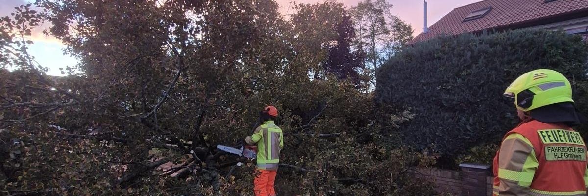 Umgestürzter Baum, der die Straße blockiert.