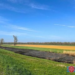 Feld nach den Löscharbeiten.