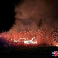 Ein Feld steht in Flammen.