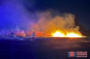 Ein Feld steht in Flammen. Die Brandbekämpfung läuft.