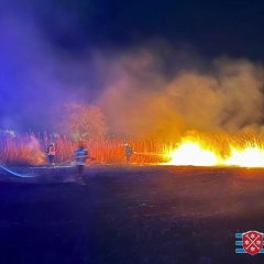 Ein Feld steht in Flammen. Die Brandbekämpfung läuft.