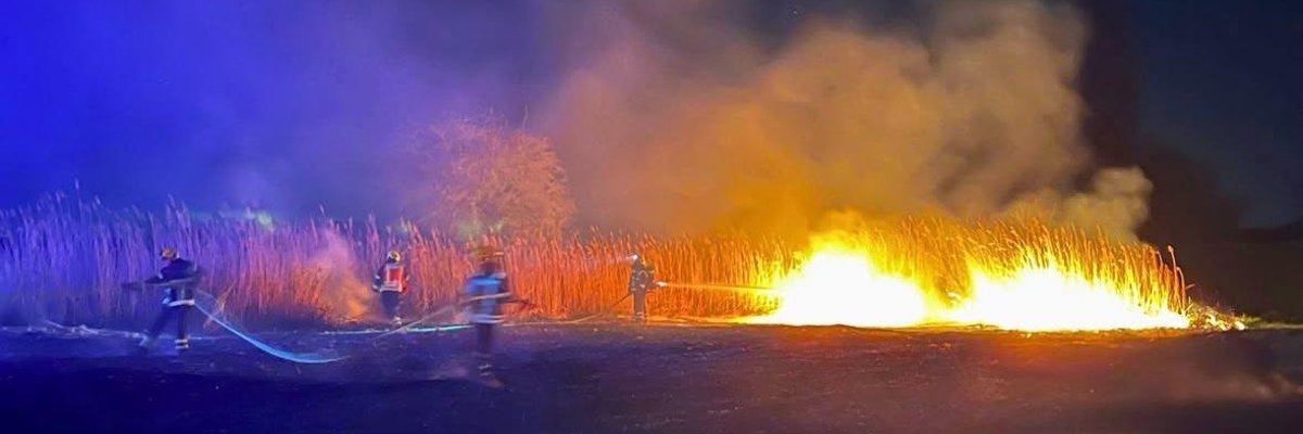 Ein Feld steht in Flammen. Die Brandbekämpfung läuft.