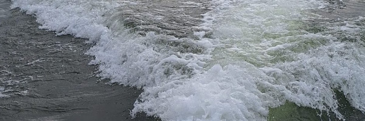 Das HLB Hecht befährt den Rhein.