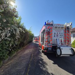 Unser LF20 bei einem Heckenbrand im Einsatz.