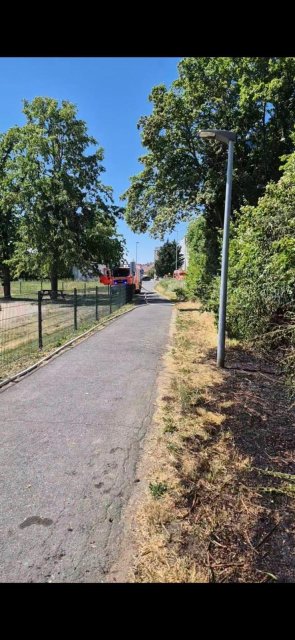 Flächenbrand an der Pfungstädter Straße.