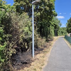 Flächenbrand an der Pfungstädter Straße.