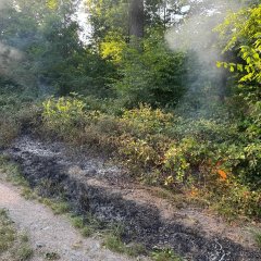 Kleiner Waldbrand - die Brandbekämpfung befindet sich in der Vorbereitung.