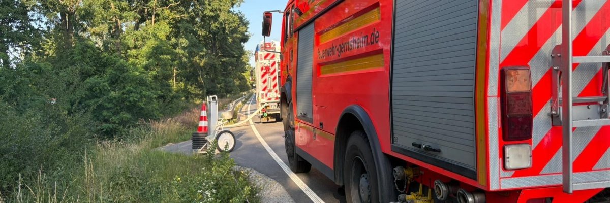 Unser TLF24/50 bei einem Waldbrand im Einsatz.