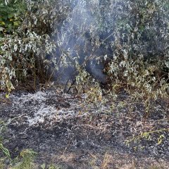Kleiner Waldbrand - die Fläche wurde durch uns bereits ausreichend bewässert.