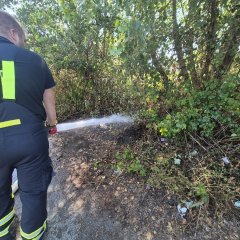 Brandbekämpfung eines kleinen Flächenbrandes.