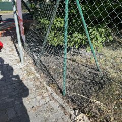 Kleiner Flächenbrand, welcher durch uns gelöscht worden ist.