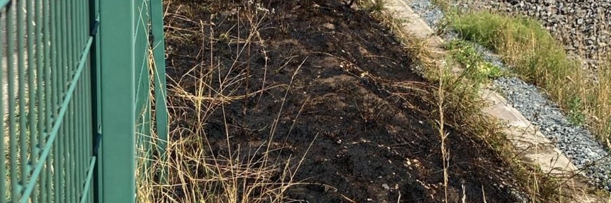 Abgebrannte Grasfläche an den Bahngleisen.