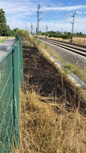 Abgebrannte Grasfläche an den Bahngleisen.