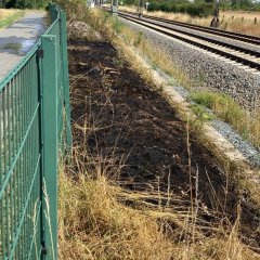 Abgebrannte Grasfläche an den Bahngleisen.