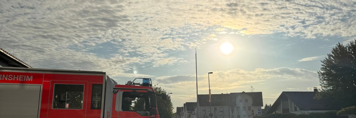 Unser LF20 rückte am sonnigen Morgen zu einer unklaren Rauchentwicklung aus.