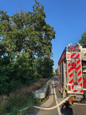 Unser LF20 bei einem Waldbrand im Einsatz.