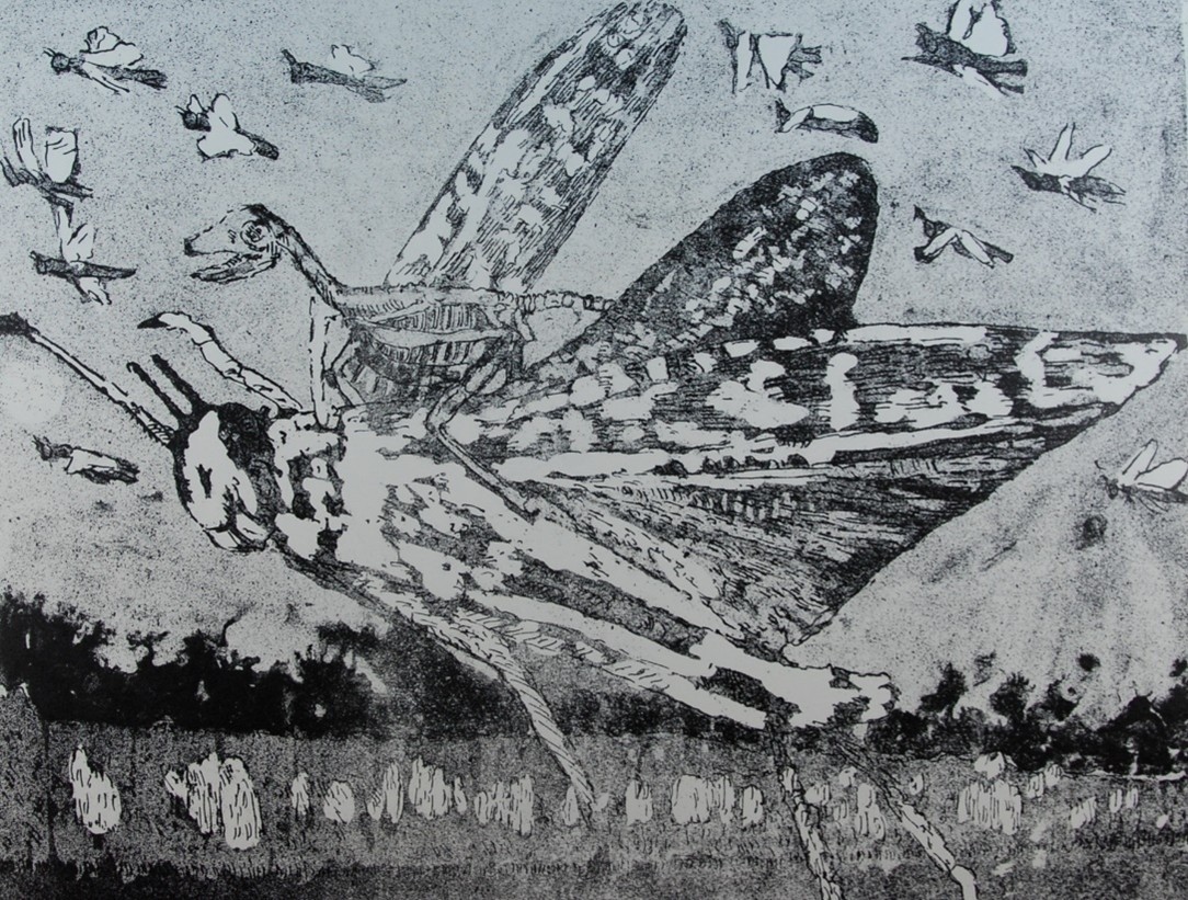 Mario Derra: „Flug der Califera“, Lithografie 40 x 50cm, 2026